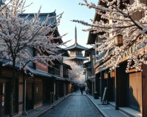 Bezienswaardigheden in de historische straten van Kyoto