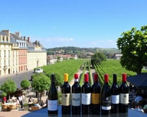 Bordeaux: verfijnde Franse wijnen en elegante boulevards