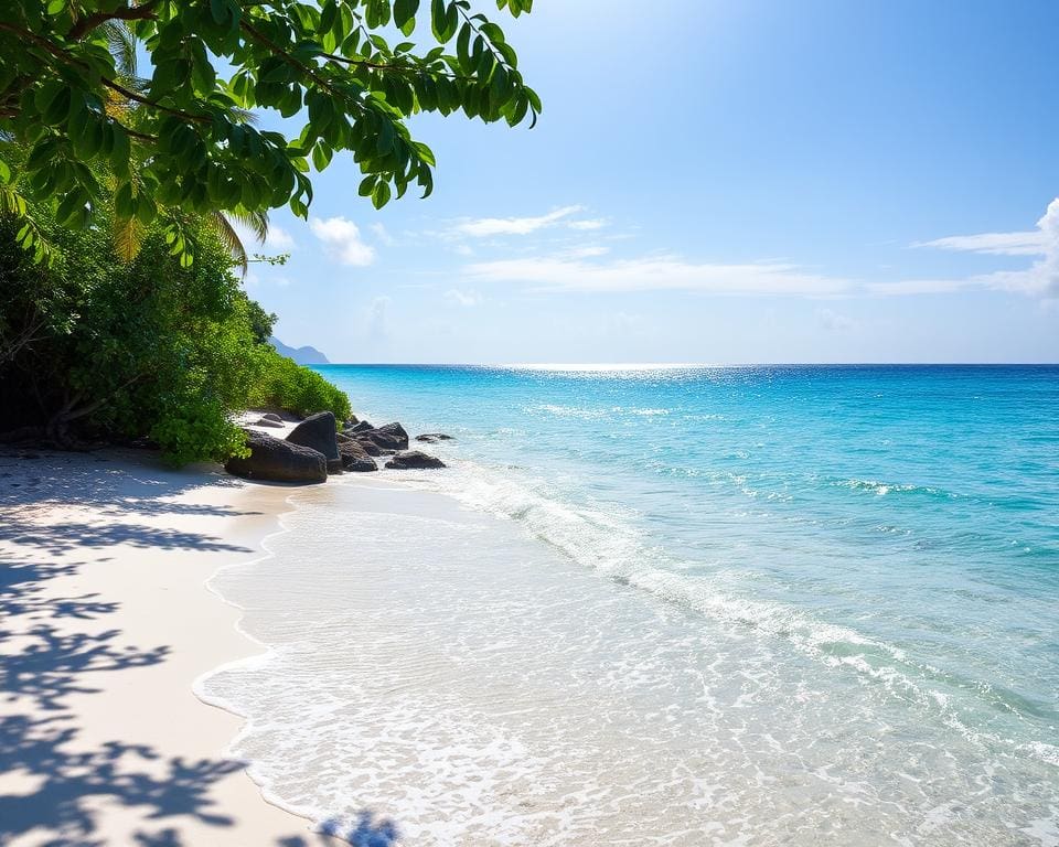 Stranden van de Seychellen: rust en azuurblauwe baaien