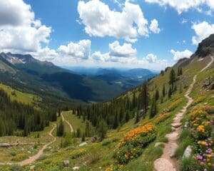 De beste hikingroutes in jouw omgeving
