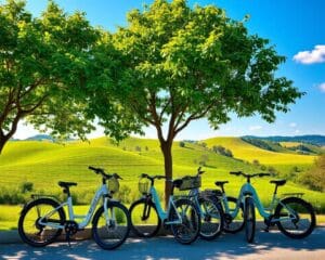 Elektrische fietsen voor een milieuvriendelijke rit