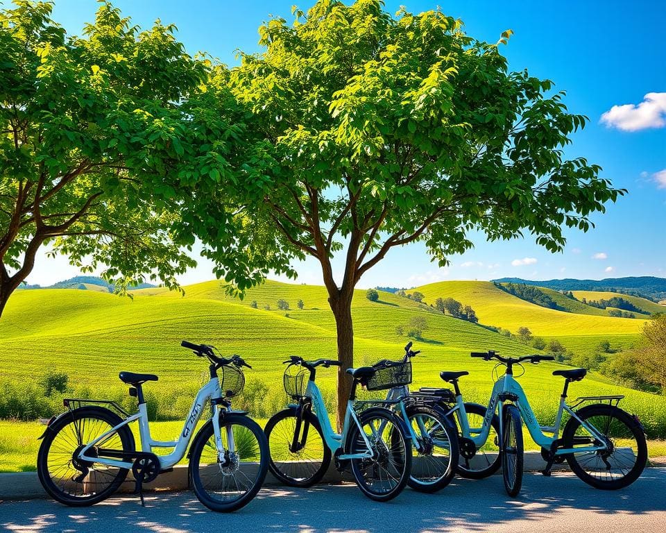 Elektrische fietsen voor een milieuvriendelijke rit