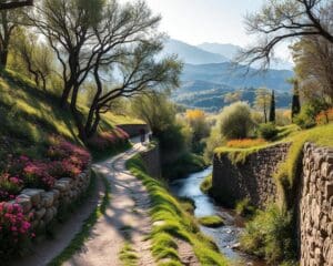 Hoe ontdek je Spanje’s verborgen natuurpaden op de fiets?