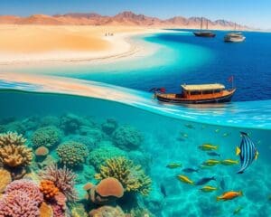 Welke excursies zijn een must-do in Marsa Alam?