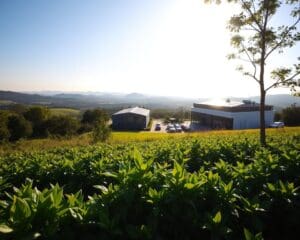 Wat zijn de voordelen van duurzaam ondernemen?
