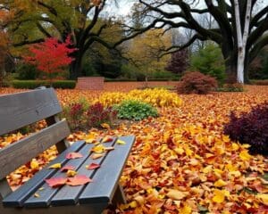 Hoe bereid je je tuin voor op de herfst?