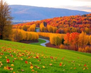 Waarmee maak je de overgang van zomer naar herfst vloeiend?