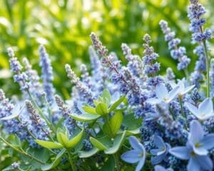 Welke kleuren brengen koelte in warme periodes?