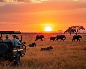 Waarom is een safari in Tanzania zo onvergetelijk?