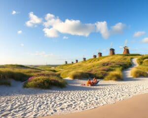 Waarom is Texel geschikt voor een korte vakantie?