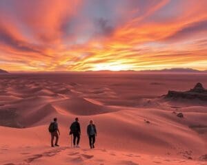 Atacamawoestijn