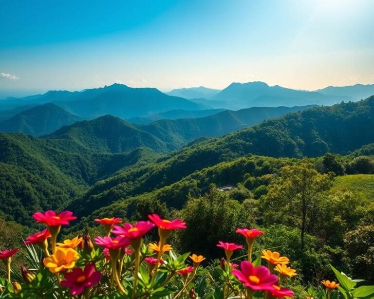 Blue Mountains Jamaica